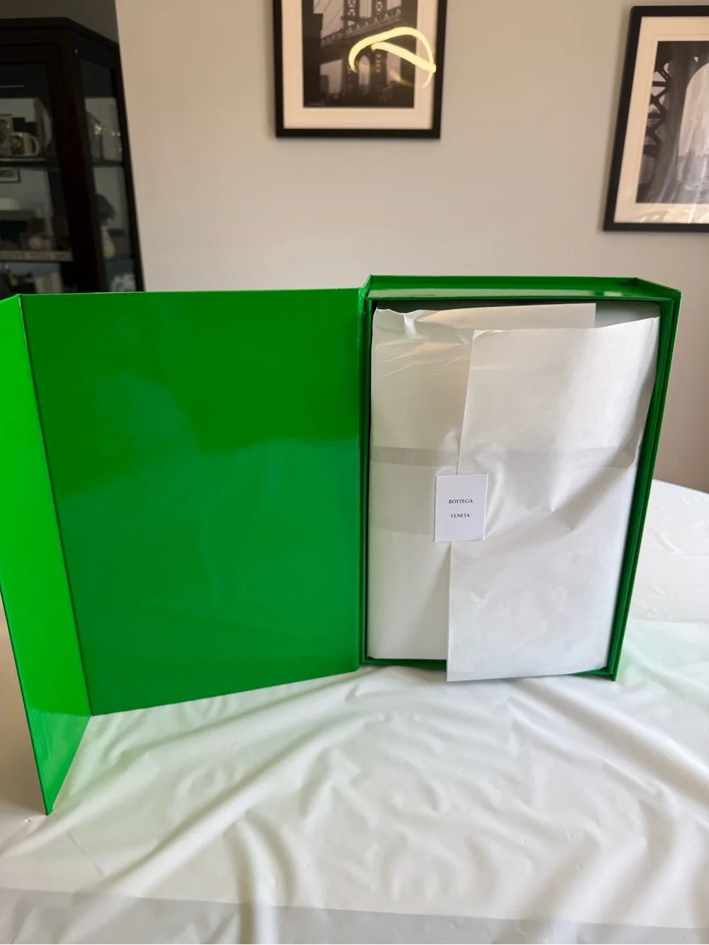 Bottega Veneta Green Python Bag Rare Only 15 made NEW Milan - unavailable in US